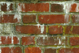 砖头墙壁图片