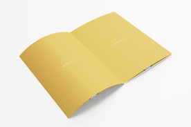 画册样机