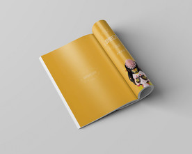 画册样机