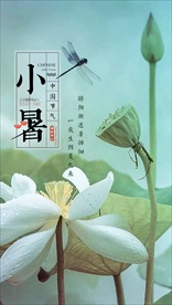 小暑节气海报