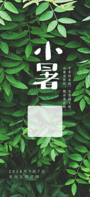 小暑 节气图片