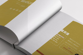 画册样机 杂志样机 企业宣传册