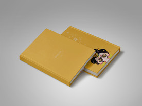 画册样机