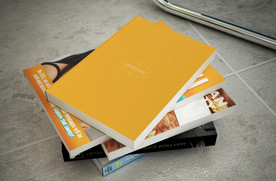 画册样机
