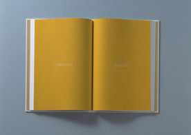 画册样机