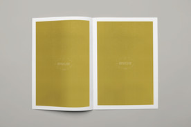 画册样机