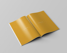 画册样机