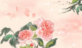 牡丹传统古风国风插画卡通背景