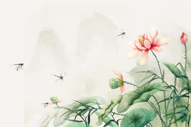 荷花传统古风国风插画卡通背景