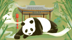 熊猫清新传统国风插画背景