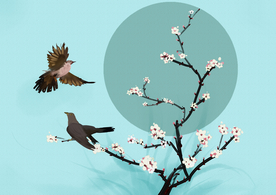 桃花清新小鸟国风传统插画背景