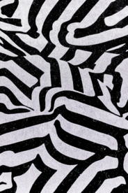 纸张纹理 斑马纹