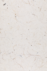 纸张纹理 花灰色