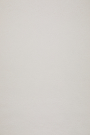 纸张纹理 浅棕色