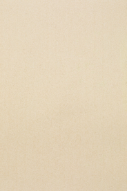 纸张纹理 浅棕色