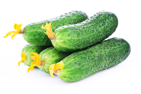 黄瓜