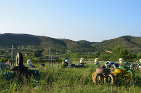 万母花海游乐场