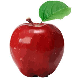 苹果插画