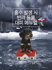 创意动物合成图片