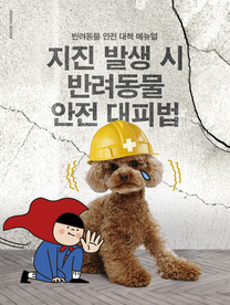 创意动物合成图片