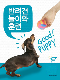 创意动物合成图片