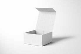 纸盒子 外卖 礼品 样机