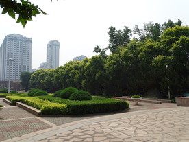 城市和绿化风景