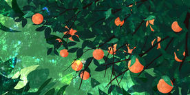 柿子树传统国风插画卡通背景