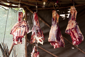 生肉排骨肉排配料食材背景素材
