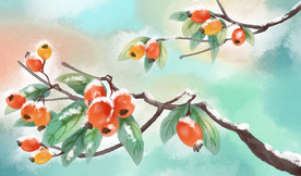霜降柿子枝头清新插画素材