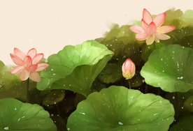 荷花荷叶夏季清新插画素材