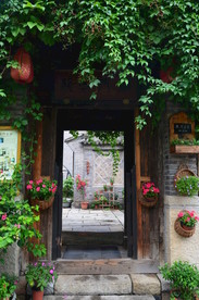 绿意盎然的院门