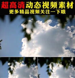 蓝天白云植物树叶空镜头视频素材