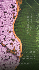 清明节气刷屏
