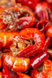 龙虾尾竖版特写