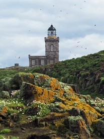 天空下的塔式建筑