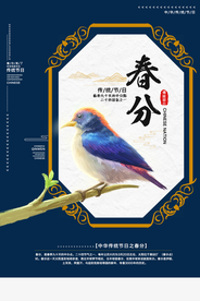春分传统节日小鸟复古海报