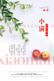 小满传统节日清新海报