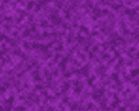 大牌 男装女装 数码印花