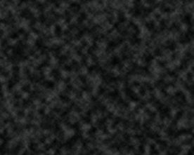 大牌 男装女装 数码印花 豹纹