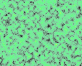 大牌 男装女装 数码印花