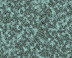 大牌 男装女装 数码印花 豹纹