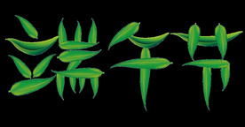 端午节粽子素材图片