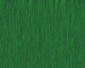 大牌 男装女装 数码印花 豹纹