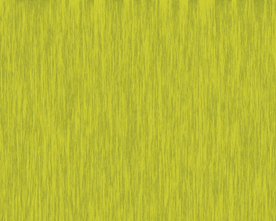 大牌 男装女装 数码印花 豹纹