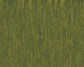 大牌 男装女装 数码印花 豹纹