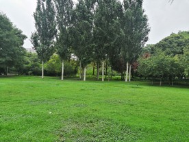 济源清趣园草坪