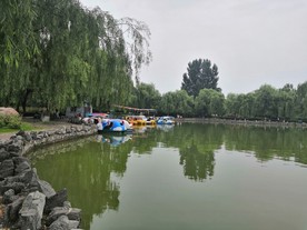 济源清趣园小湖