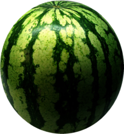西瓜实拍png免抠素材