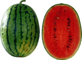 西瓜png免抠素材